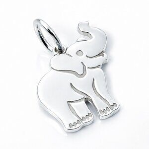 Tiffany & Co Elephant Charm Pendant 925 Sterling Silver Animal Lucky Necklace
